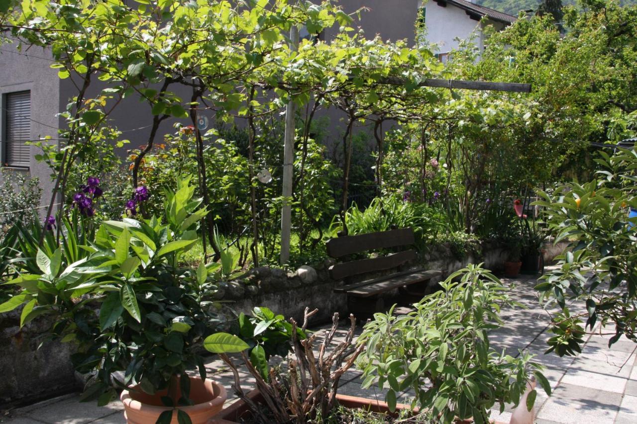 La Terrazza
